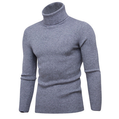 Herren Rollkragenpullover aus feinem Rippstrick EB