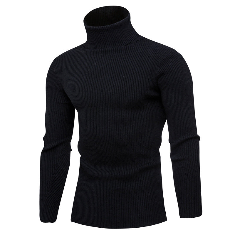 Herren Rollkragenpullover aus feinem Rippstrick EB