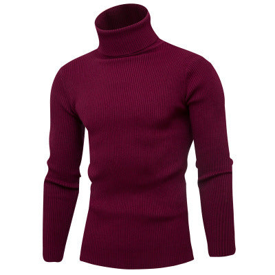 Herren Rollkragenpullover aus feinem Rippstrick EB