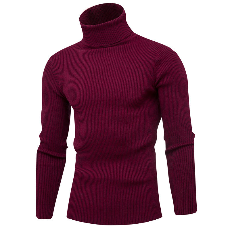 Herren Rollkragenpullover aus feinem Rippstrick EB