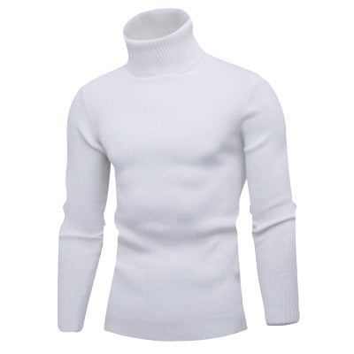 Herren Rollkragenpullover aus feinem Rippstrick EB