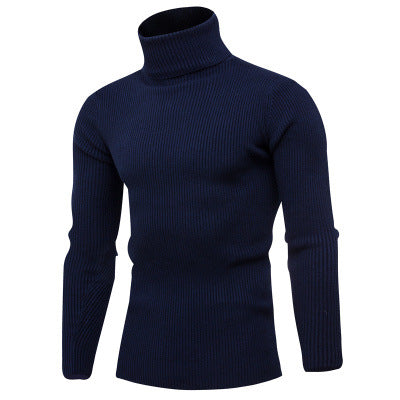 Herren Rollkragenpullover aus feinem Rippstrick EB