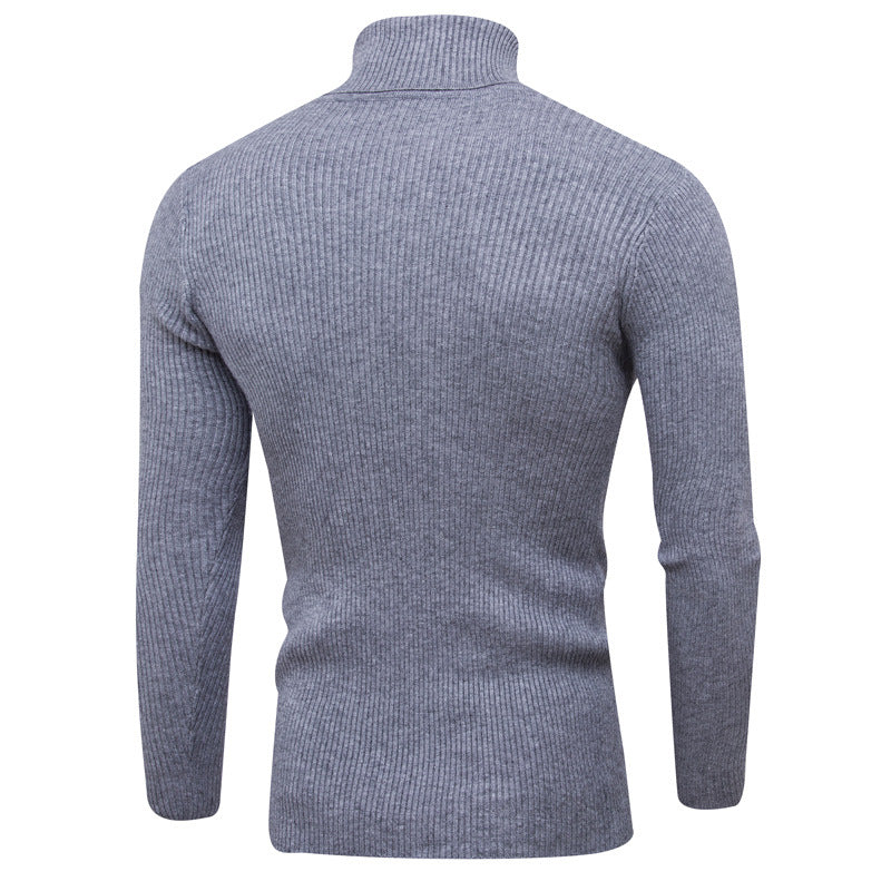 Herren Rollkragenpullover aus feinem Rippstrick EB