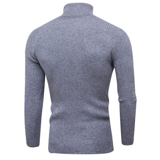 Herren Rollkragenpullover aus feinem Rippstrick EB