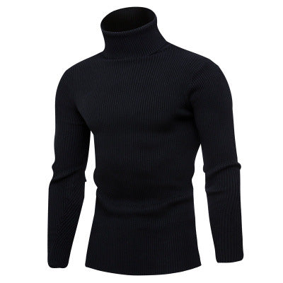 Herren Rollkragenpullover aus feinem Rippstrick EB