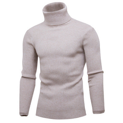 Herren Rollkragenpullover aus feinem Rippstrick EB