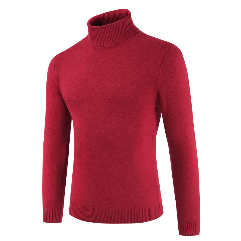Damen Rollkragenpullover aus feiner Baumwollmischung EB