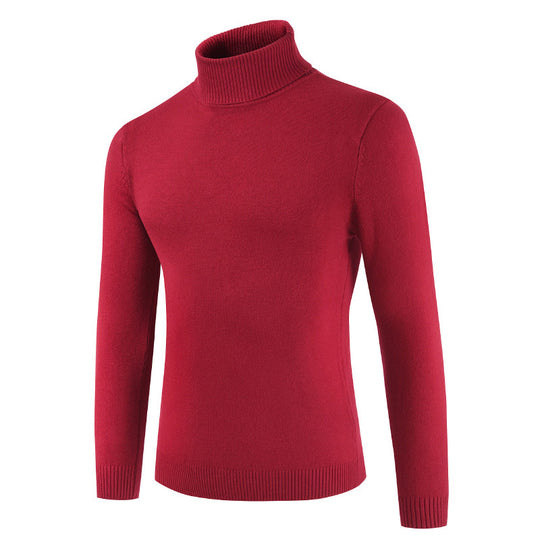 Damen Rollkragenpullover aus feiner Baumwollmischung EB
