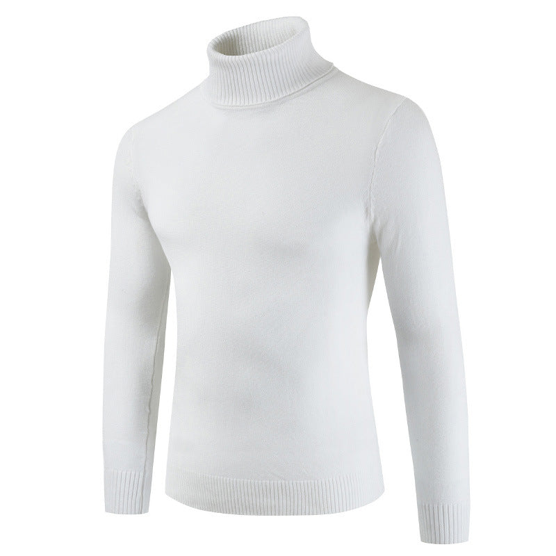Damen Rollkragenpullover aus feiner Baumwollmischung EB