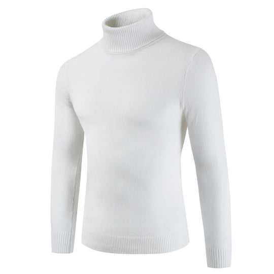 Damen Rollkragenpullover aus feiner Baumwollmischung EB