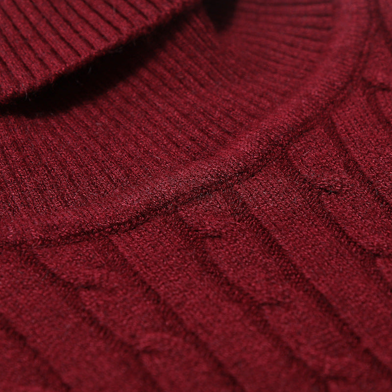 Herren Rollkragenpullover mit strukturiertem Zopfmuster EB