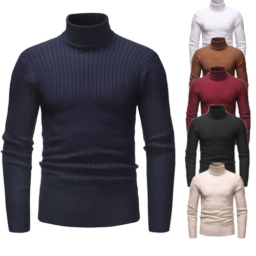 Herren Rollkragenpullover mit strukturiertem Zopfmuster EB