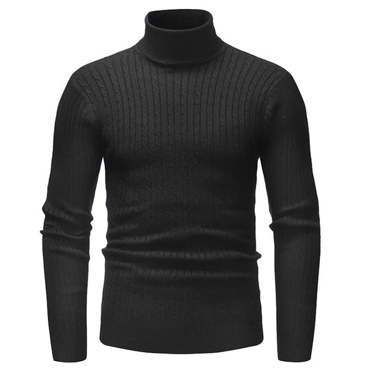 Herren Rollkragenpullover mit strukturiertem Zopfmuster EB
