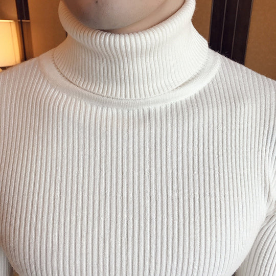 Herren Stehkragenpullover aus feinem Rippstrick EB