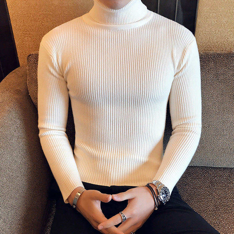 Herren Stehkragenpullover aus feinem Rippstrick EB