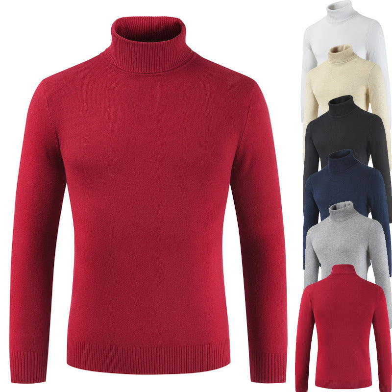 Damen Rollkragenpullover aus feiner Baumwollmischung EB
