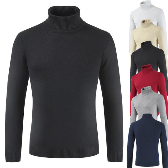 Damen Rollkragenpullover aus feiner Baumwollmischung EB