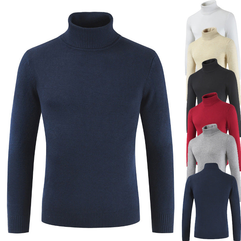 Damen Rollkragenpullover aus feiner Baumwollmischung EB