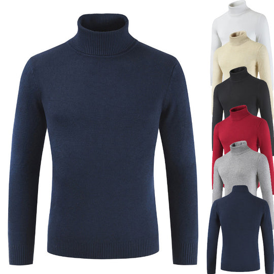 Damen Rollkragenpullover aus feiner Baumwollmischung EB