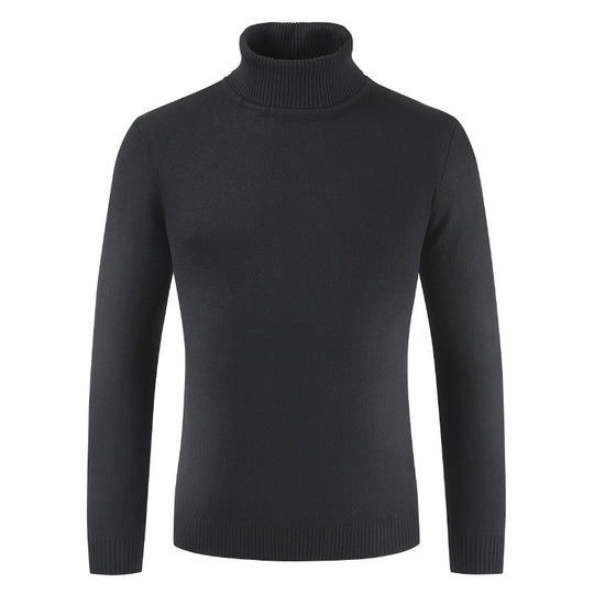 Damen Rollkragenpullover aus feiner Baumwollmischung EB