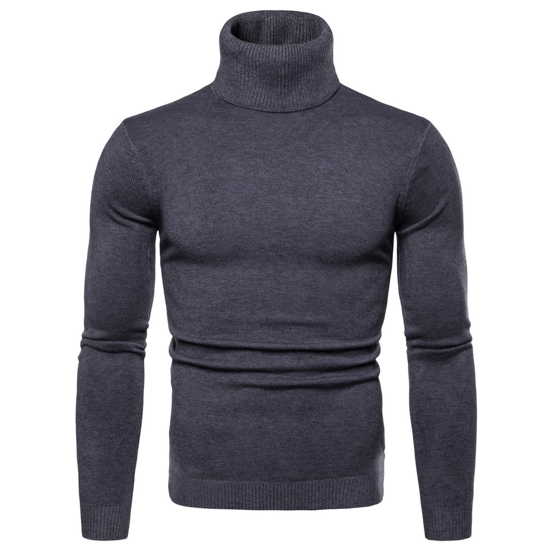 Herren Rollkragenpullover aus weichem Strick EB