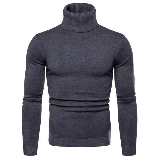 Herren Rollkragenpullover aus weichem Strick EB