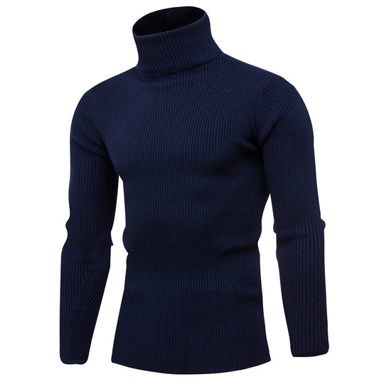 Herren eleganter Rollkragenpullover aus weichem Strick EB
