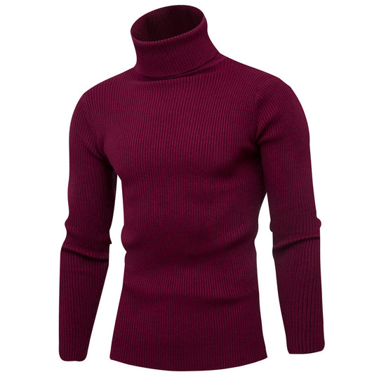 Herren eleganter Rollkragenpullover aus weichem Strick EB