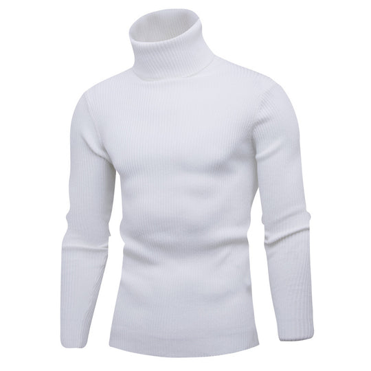Herren eleganter Rollkragenpullover aus weichem Strick EB