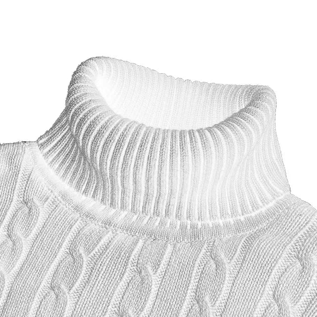 EB | Kuscheliger Herrenpullover mit trendigem Rollkragen - Wintersaison 2024