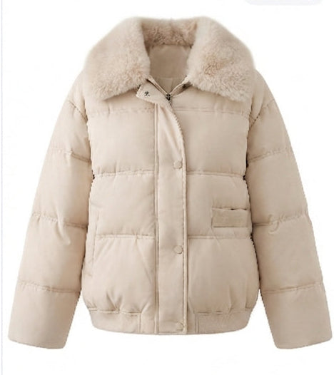 Damen nan kurze Boxy-Steppjacke mit abnehmbarer Kunstpelzblende, hoher Kragen und verdecktem Druckknopf- und Reißverschluss EB