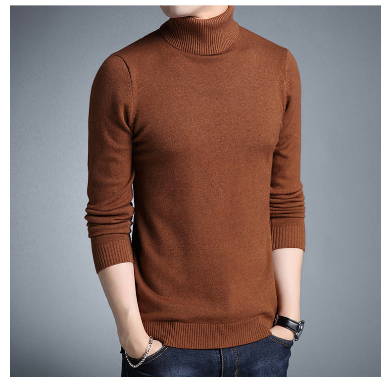 EB | Rollkragenpullover