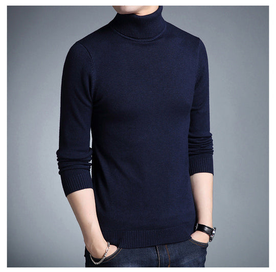 EB | Rollkragenpullover
