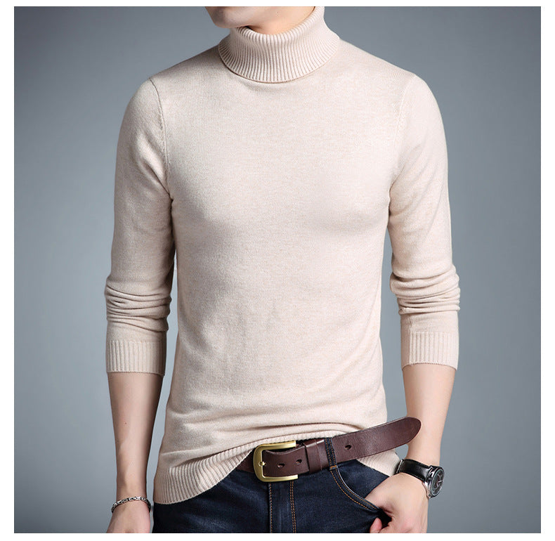 EB | Rollkragenpullover
