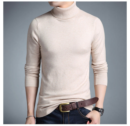 EB | Rollkragenpullover