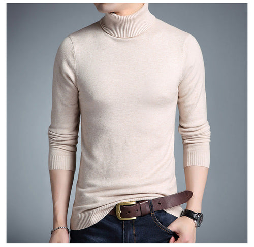 EB | Rollkragenpullover