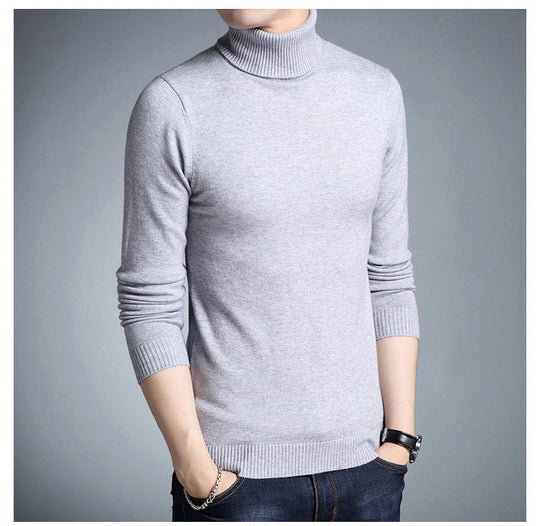 EB | Rollkragenpullover