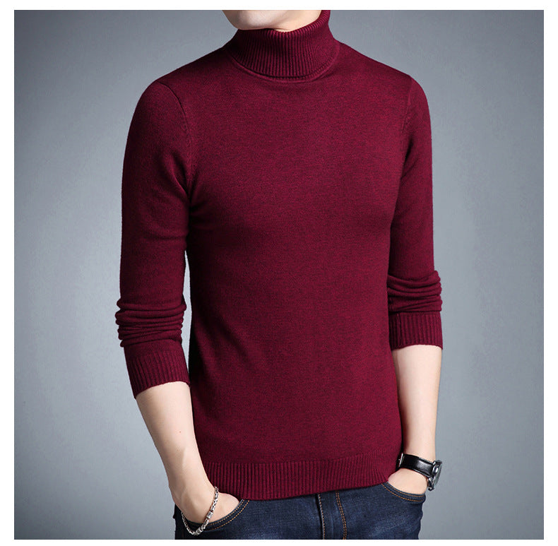 EB | Rollkragenpullover