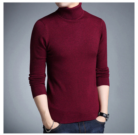 EB | Rollkragenpullover