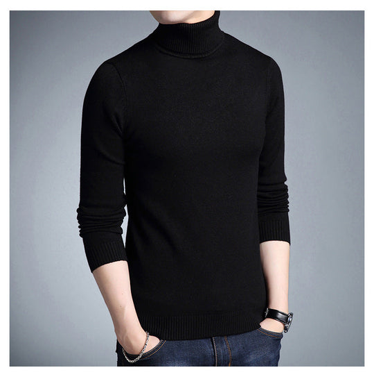 EB | Rollkragenpullover