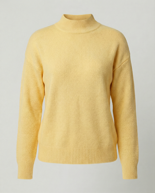EB | Rollneck Pullover