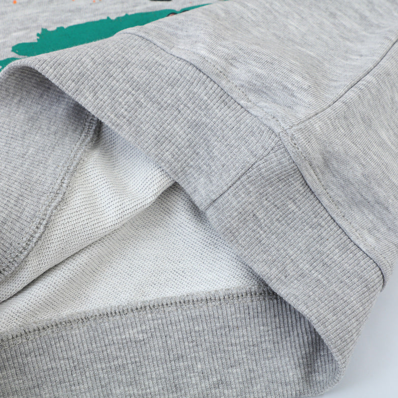 Jungen Sweatshirt mit lebendigem Dinosaurier-Motiv EB