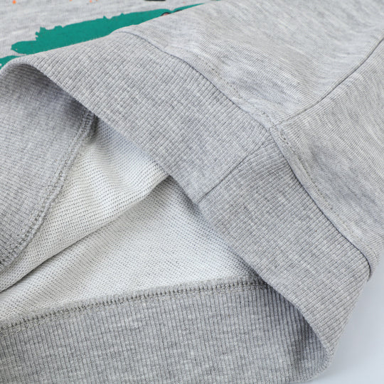 Jungen Sweatshirt mit lebendigem Dinosaurier-Motiv EB