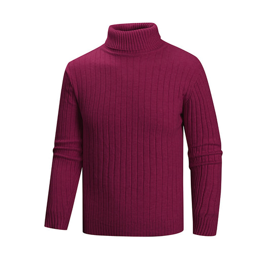 Herren eleganter Pullover mit hohem Kragen und feiner Rippenstruktur EB