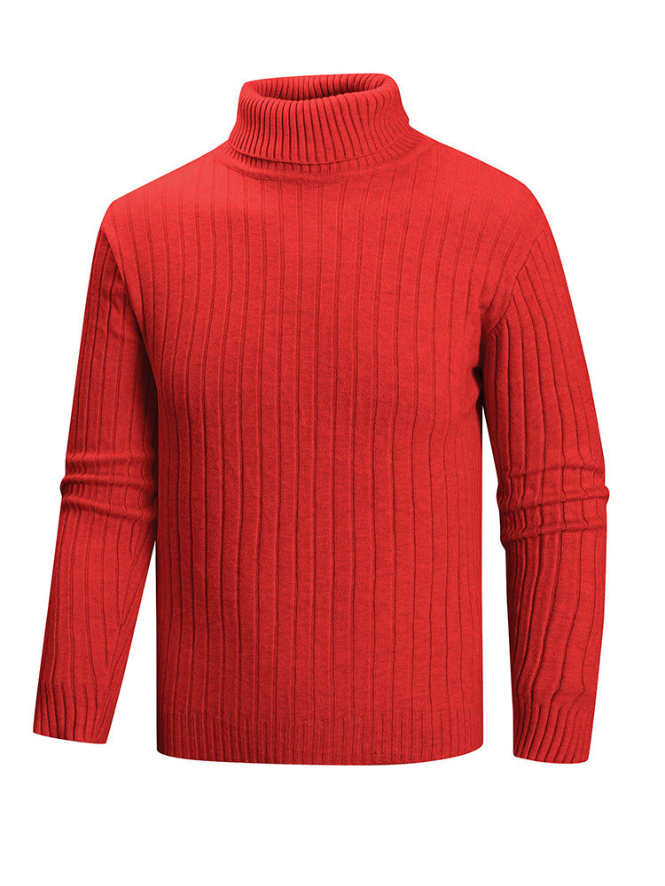 Herren Rollkragenpullover aus hochwertigem Feinstrick EB