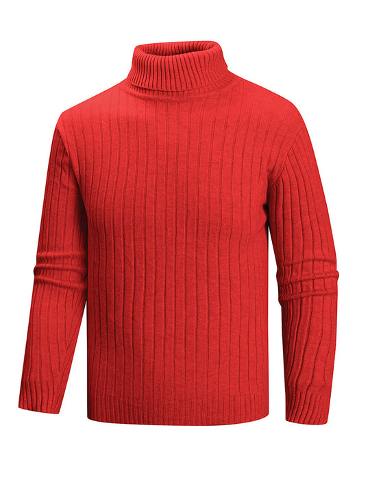 Herren Rollkragenpullover aus hochwertigem Feinstrick EB