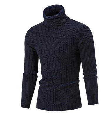 Herren stilvoller Rollkragenpullover mit Zopfmuster EB