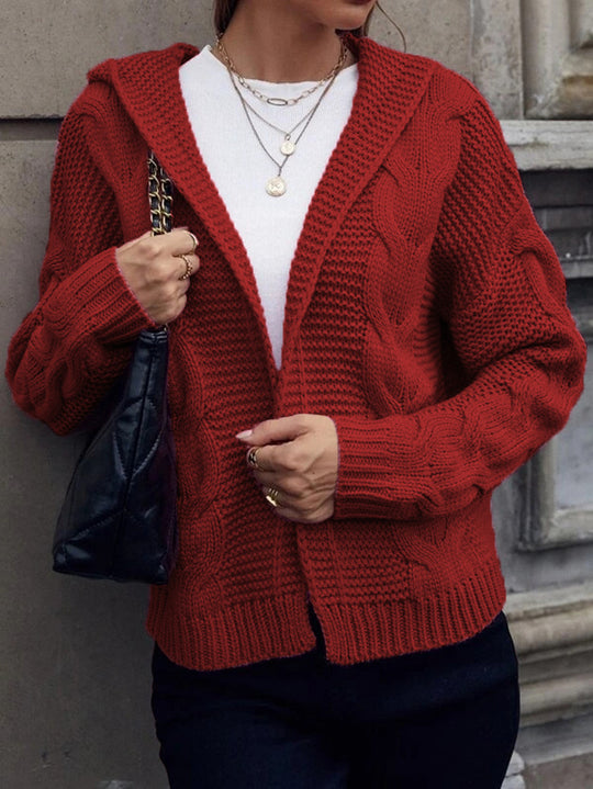 Damen Grobstrickjacke mit Kapuze und aufwendigem Zopfmuster EB