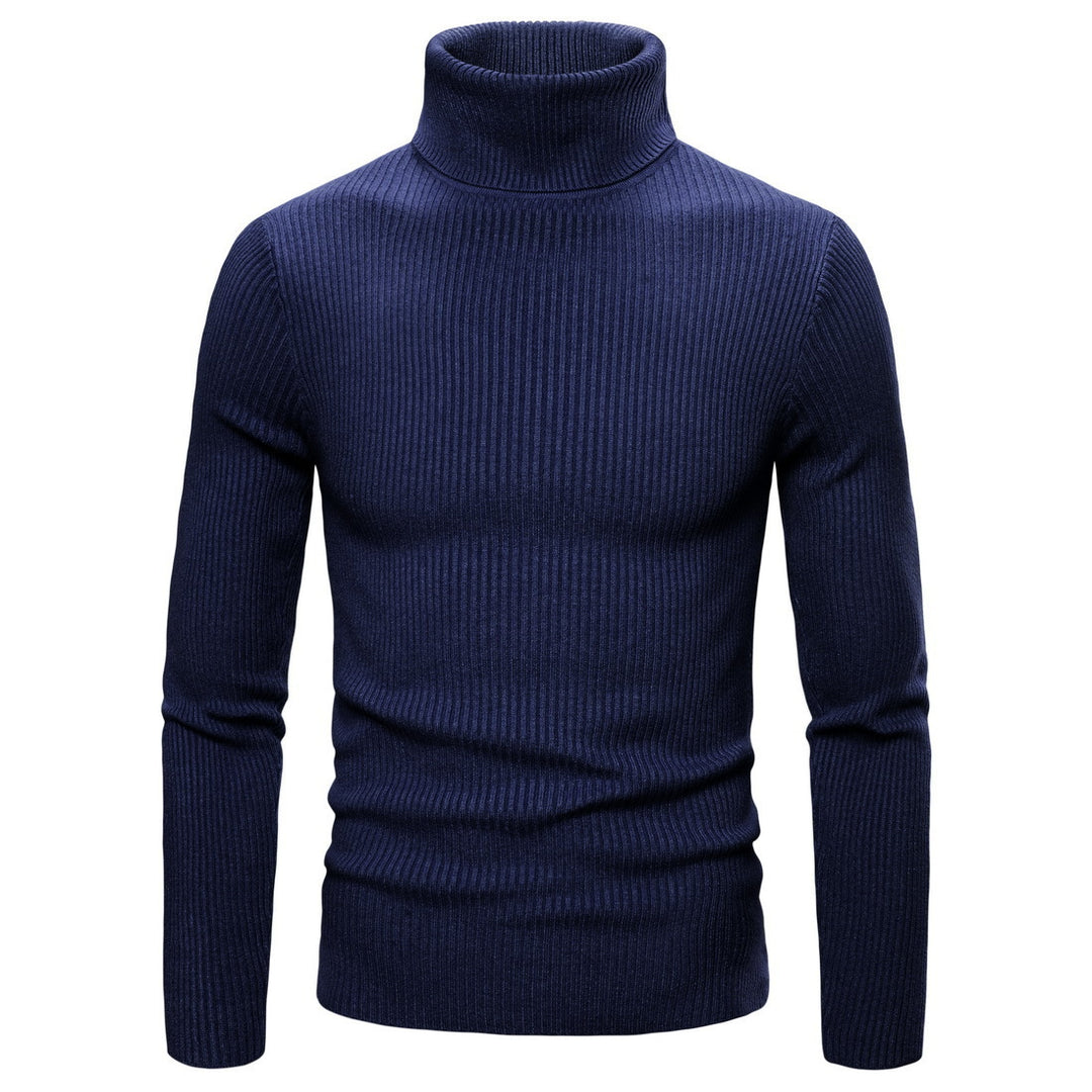 Herren modischer Rollkragenpullover aus hochwertigem Strick EB