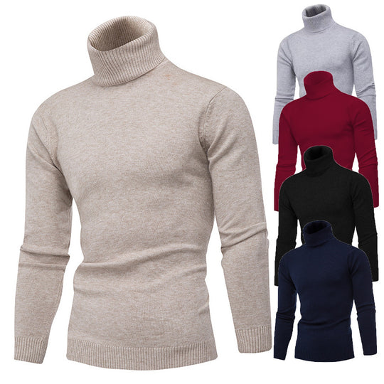 Herren Strickpullover mit hohem Kragen EB